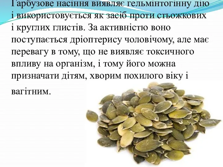 Гарбузове насіння виявляє гельмінтогінну дію і використовується як засіб проти