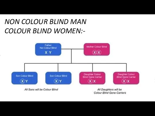 NON COLOUR BLIND MAN COLOUR BLIND WOMEN:-