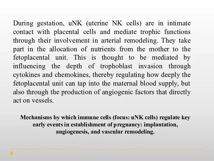 During gestation, uNK (uterine NK cells) are in intimate contact