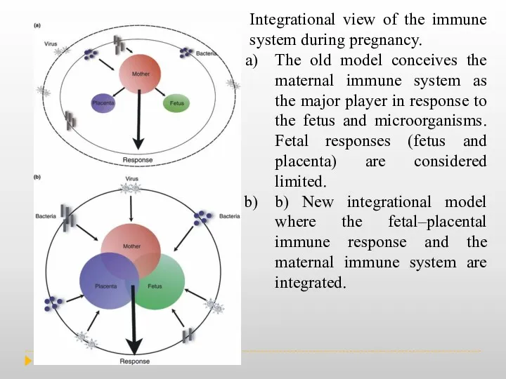 Integrational view of the immune system during pregnancy. The old