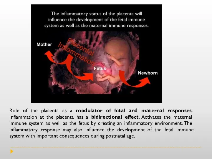 Role of the placenta as a modulator of fetal and