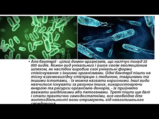 Але бактерії - цілий домен організмів, що налічує понад 10