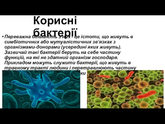 Корисні бактерії Переважна більшість з них - це істоти, що