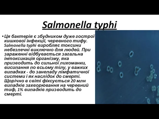 Salmonella typhi Ця бактерія є збудником дуже гострої кишкової інфекції,