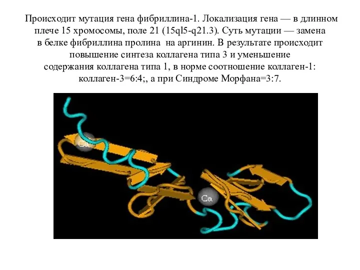 Происходит мутация гена фибриллина-1. Локализация гена — в длинном плече