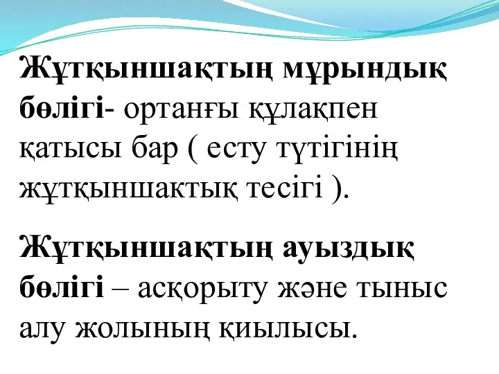 Жұтқыншақтың мұрындық бөлігі- ортанғы құлақпен қатысы бар ( есту түтігінің жұтқыншактық тесігі ).