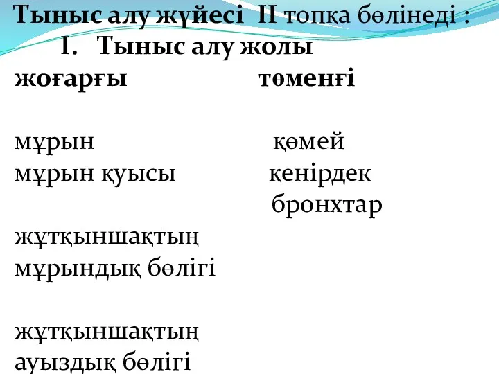 Тыныс алу жүйесі II топқа бөлінеді : I. Тыныс алу жолы жоғарғы төменғі