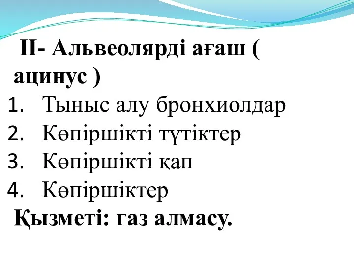 II- Альвеолярді ағаш ( ацинус ) Тыныс алу бронхиолдар Көпіршікті