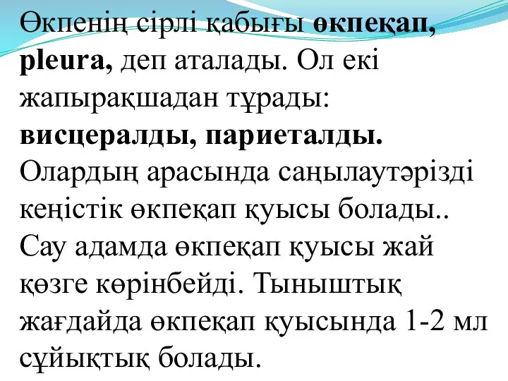 Өкпенің сірлі қабығы өкпеқап, pleura, деп аталады. Ол екі жапырақшадан тұрады: висцералды, париеталды.