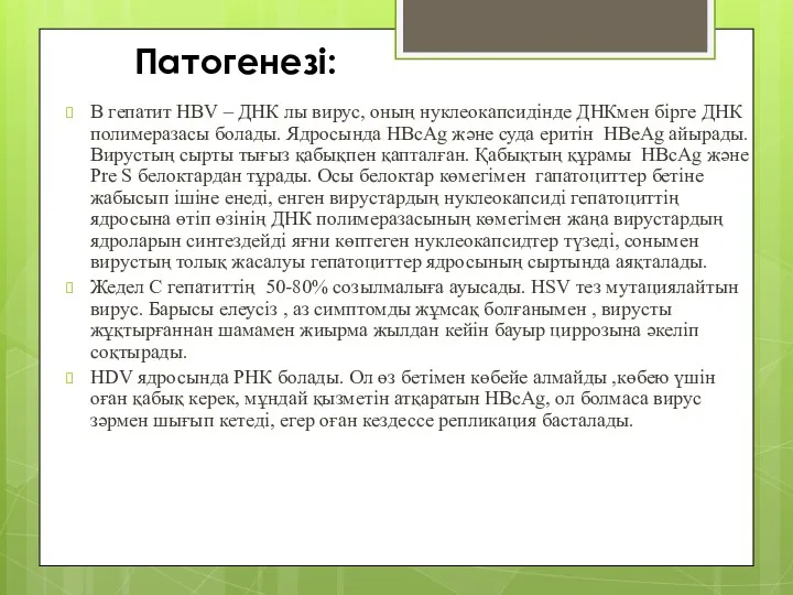 Патогенезі: В гепатит HBV – ДНК лы вирус, оның нуклеокапсидінде