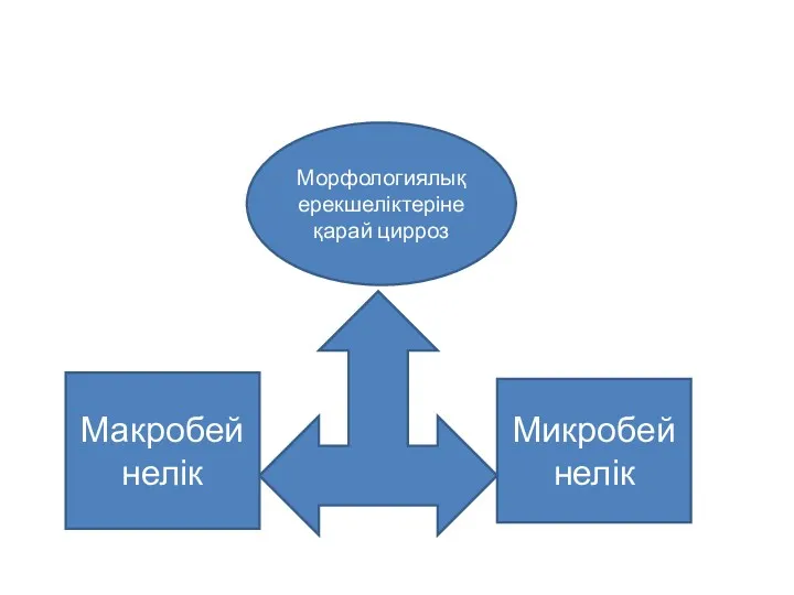 Морфологиялық ерекшеліктеріне қарай цирроз Макробейнелік Микробейнелік