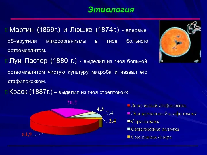 Этиология Мартин (1869г.) и Люшке (1874г.) - впервые обнаружили микроорганизмы в гное больного
