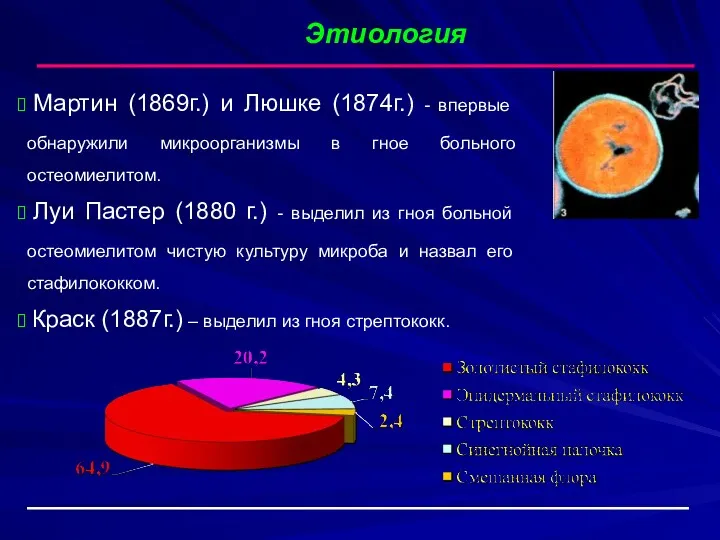 Этиология Мартин (1869г.) и Люшке (1874г.) - впервые обнаружили микроорганизмы