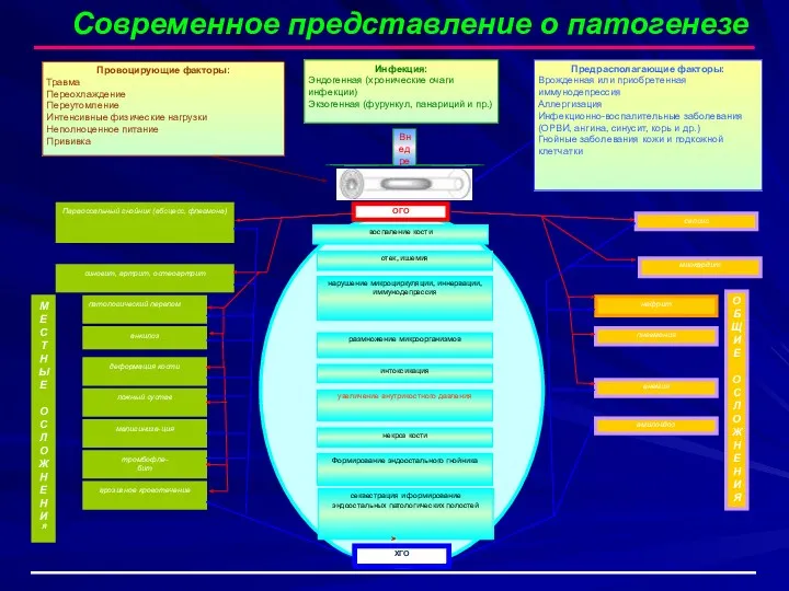 Современное представление о патогенезе