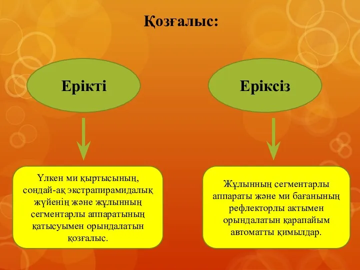 Қозғалыс: Ерікті Еріксіз Үлкен ми қыртысының, сондай-ақ экстрапирамидалық жүйенің және