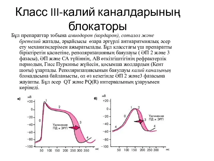 Класс III-калий каналдарының блокаторы Бұл препараттар тобына амиодорон (кордарон), соталол