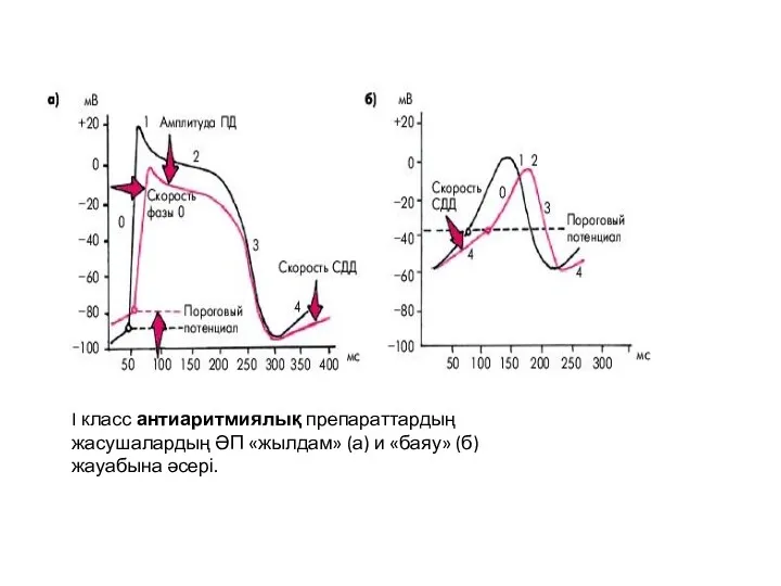 I класс антиаритмиялық препараттардың жасушалардың ӘП «жылдам» (а) и «баяу» (б) жауабына әсері.
