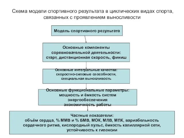 Схема модели спортивного результата в циклических видах спорта, связанных с