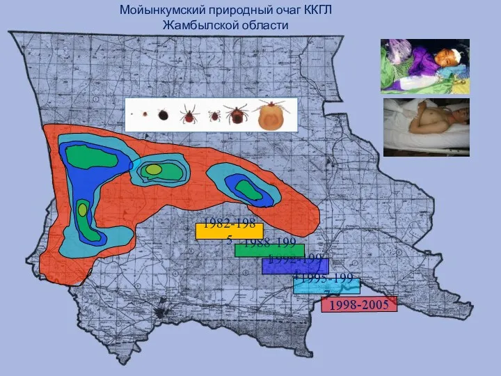 Мойынкумский природный очаг ККГЛ Жамбылской области
