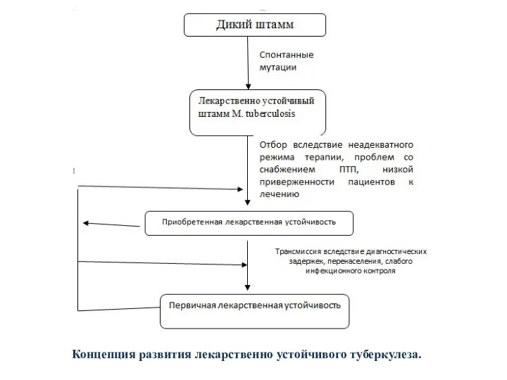 Концепция развития лекарственно устойчивого туберкулеза.