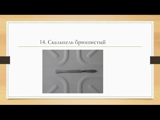 14. Скальпель брюшистый