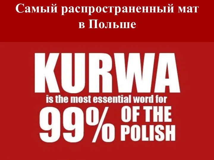 Самый распространенный мат в Польше