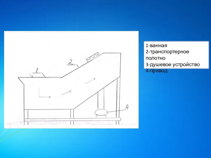 1-ванная 2-транспортерное полотно 3-душевое устройство 4-привод