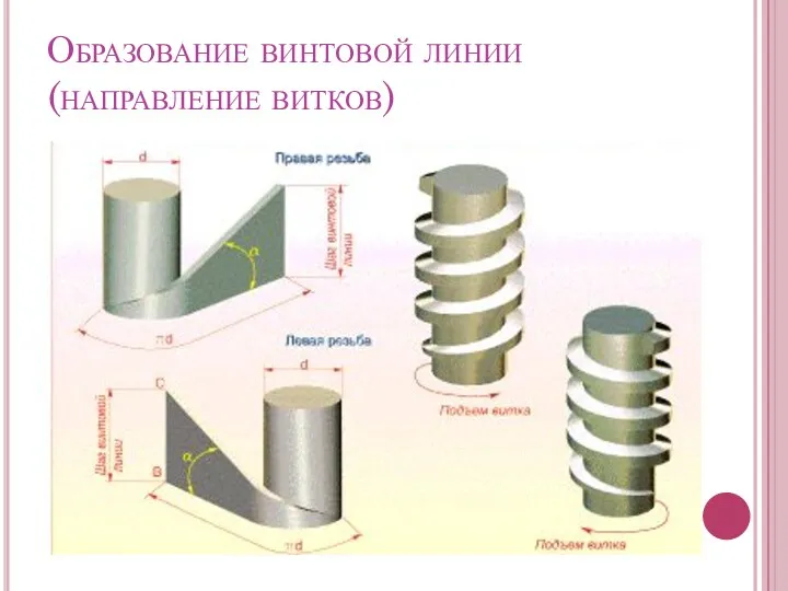 Образование винтовой линии (направление витков)