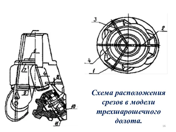 Схема расположения срезов в модели трехшарошечного долота.