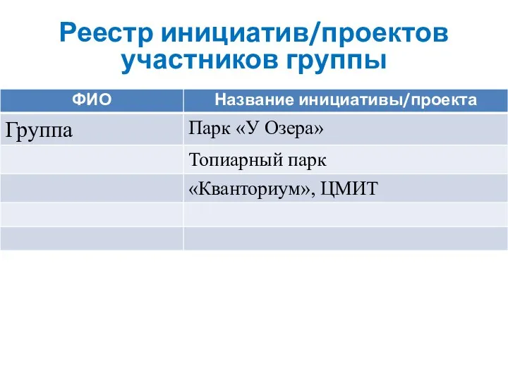 Реестр инициатив/проектов участников группы