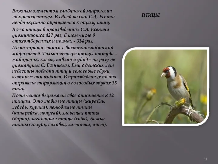 птицы Важным элементом славянской мифологии являются птицы. В своей поэзии С.А. Есенин неоднократно