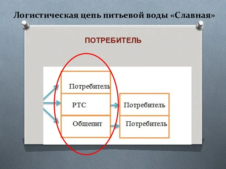 Логистическая цепь питьевой воды «Славная» ПОТРЕБИТЕЛЬ