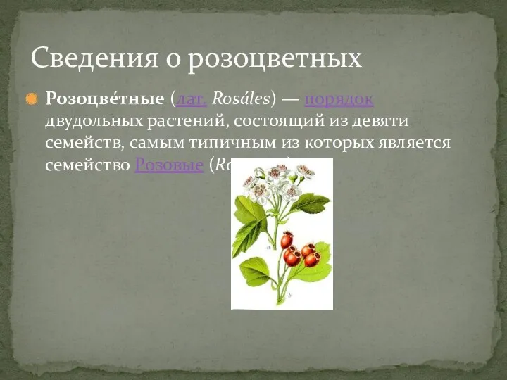 Розоцве́тные (лат. Rosáles) — порядок двудольных растений, состоящий из девяти