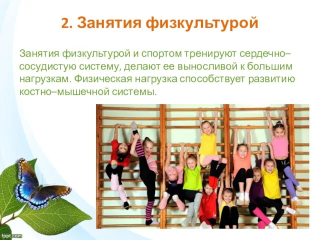 2. Занятия физкультурой Занятия физкультурой и спортом тренируют сердечно–сосудистую систему,
