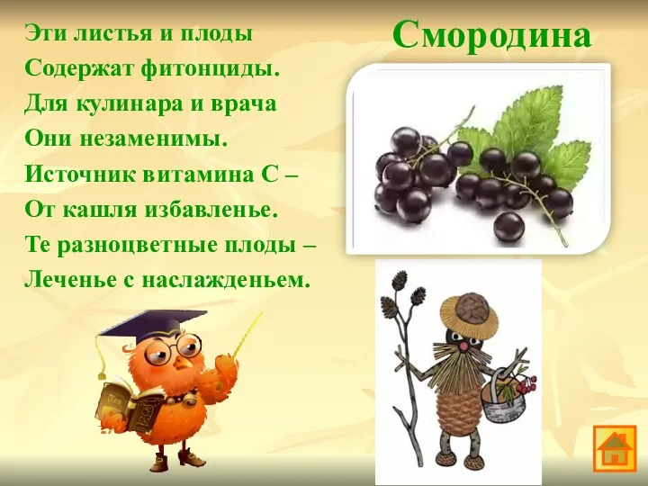 Смородина Эти листья и плоды Содержат фитонциды. Для кулинара и