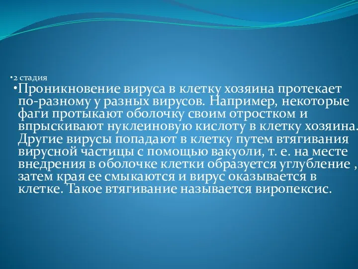 2 стадия Проникновение вируса в клетку хозяина протекает по-разному у