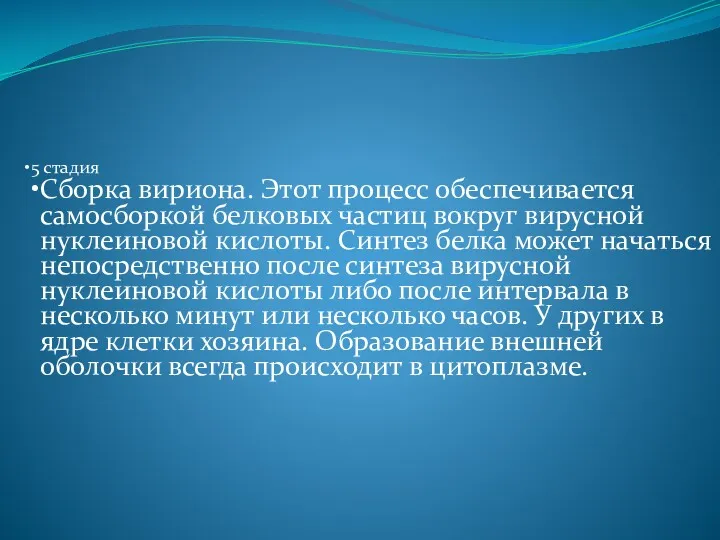 5 стадия Сборка вириона. Этот процесс обеспечивается самосборкой белковых частиц