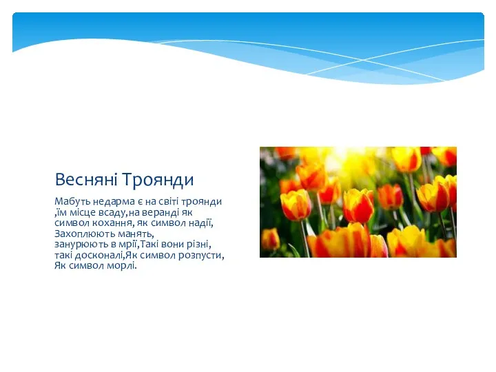 Мабуть недарма є на світі троянди ,їм місце всаду,на веранді