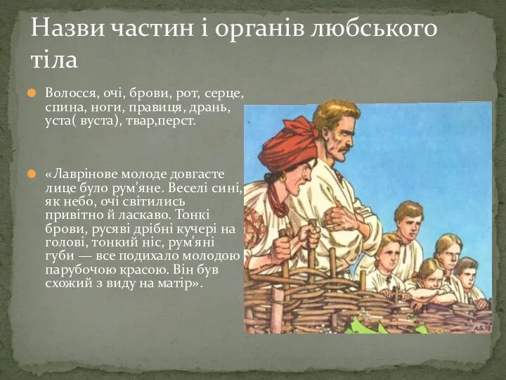 Назви частин i органiв любського тiла Волосся, очi, брови, рот,