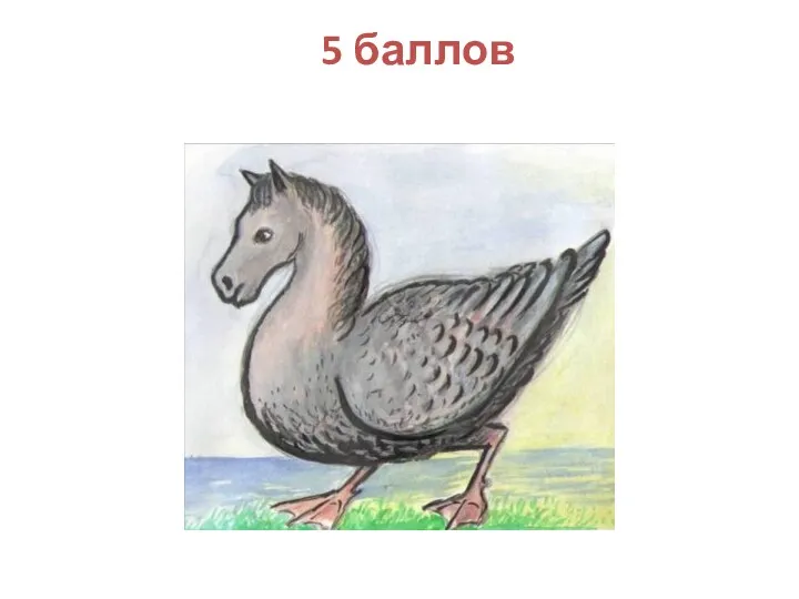 5 баллов