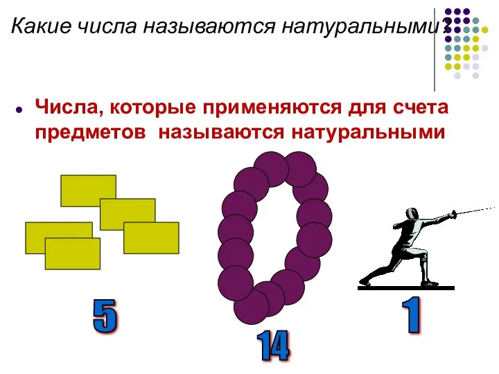 Какие числа называются натуральными? Числа, которые применяются для счета предметов называются натуральными 5 14 1