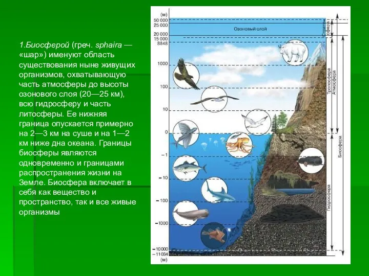1.Биосферой (греч. sphaira — «шар») именуют область существования ныне живущих