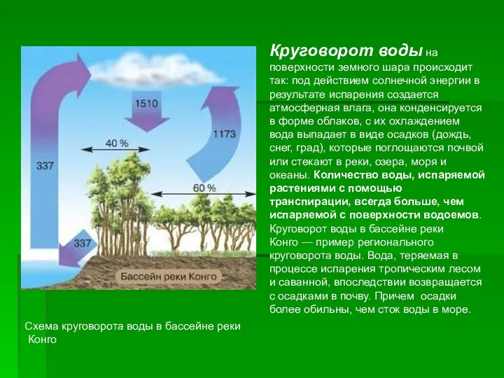 Схема круговорота воды в бассейне реки Конго Круговорот воды на