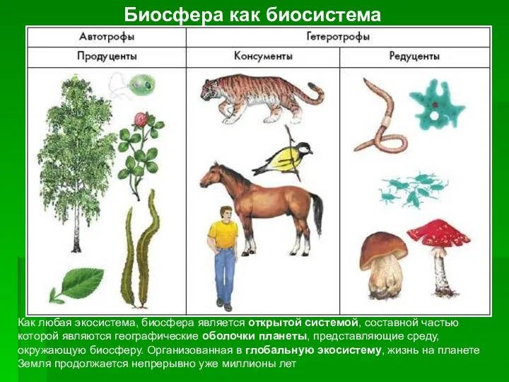 Биосфера как биосистема Как любая экосистема, биосфера является открытой системой,