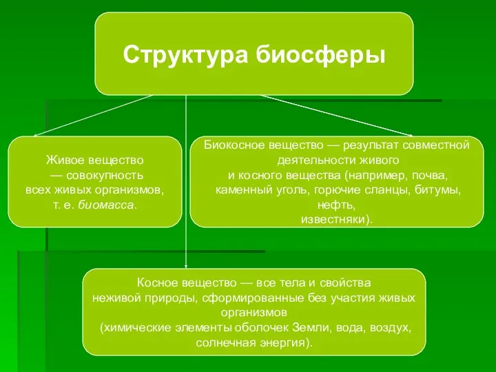 Структура биосферы Живое вещество — совокупность всех живых организмов, т.