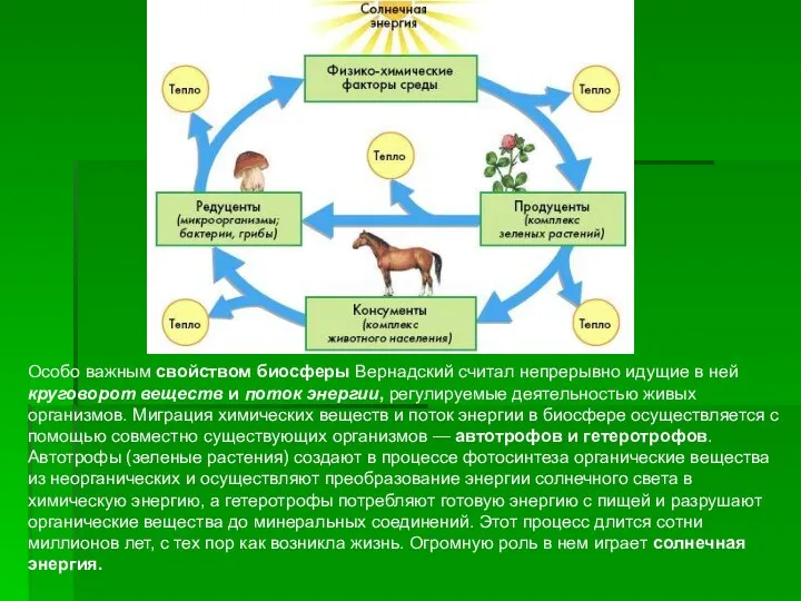 Особо важным свойством биосферы Вернадский считал непрерывно идущие в ней