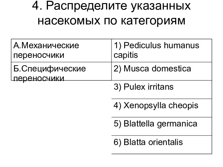 4. Распределите указанных насекомых по категориям