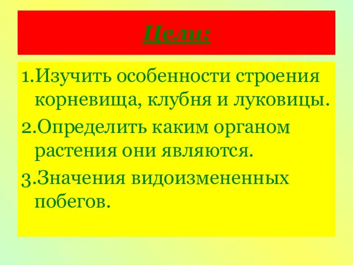 Цели: 1.Изучить особенности строения корневища, клубня и луковицы. 2.Определить каким