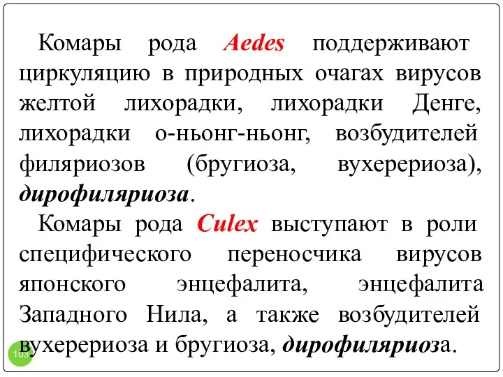 Комары рода Aedes поддерживают циркуляцию в природных очагах вирусов желтой