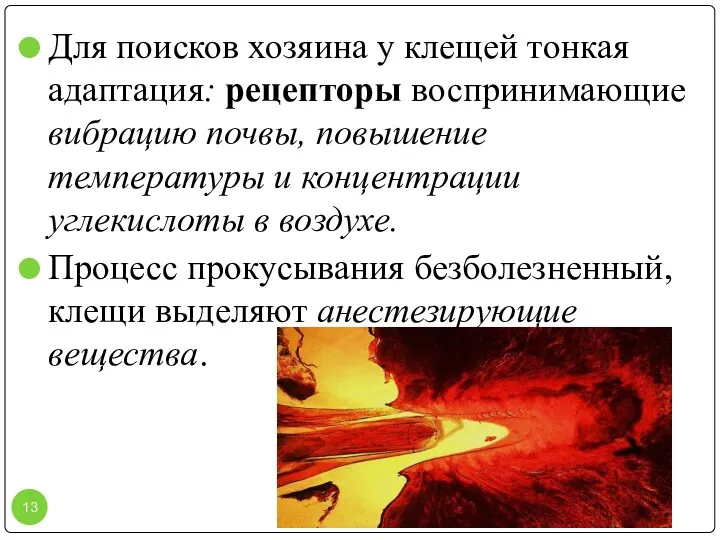 Для поисков хозяина у клещей тонкая адаптация: рецепторы воспринимающие вибрацию